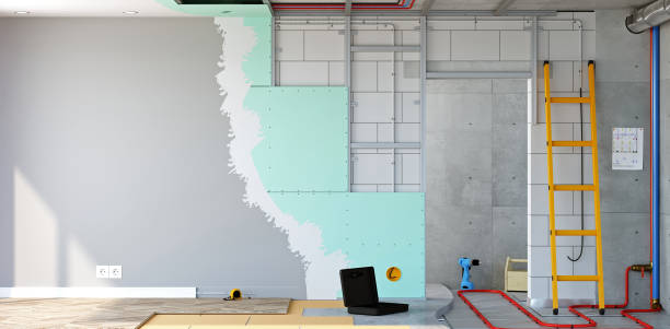 Best Mold Remediation for Rental Properties  in Zeeland, MI