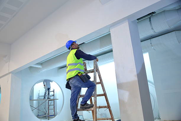Professional Mold Removal in Zeeland, MI