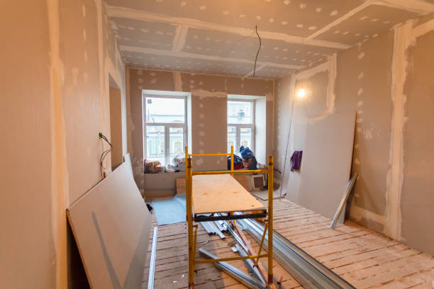 Best Attic Mold Removal  in Zeeland, MI